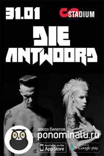 Концерт Die Antwoord Концерт Die Antwoord