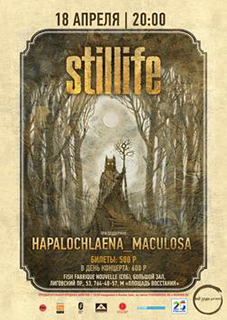 Концерт Stillife Концерт Stillife