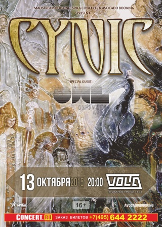 Cynic Cynic