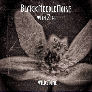  Black Needle Noise