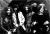  Black Sabbath
