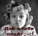 24(151)04.07.2004 !