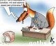  :  ?