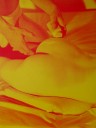 tn_gallery_1_30_1848.jpg