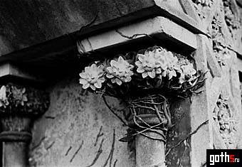 gallery_2676_38_3691.jpg