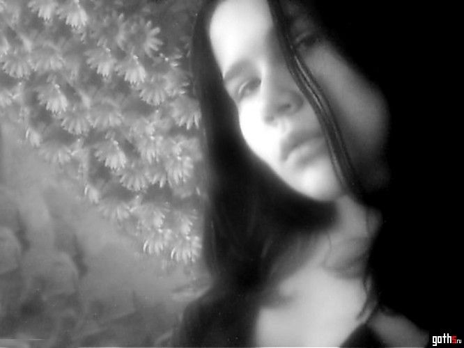 gallery_4830_7_33619.jpg