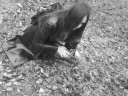 tn_gallery_5953_7_274810.jpg