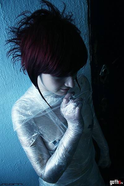gallery_6570_463_96584.jpg