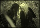 tn_gallery_6628_7_3757.jpg