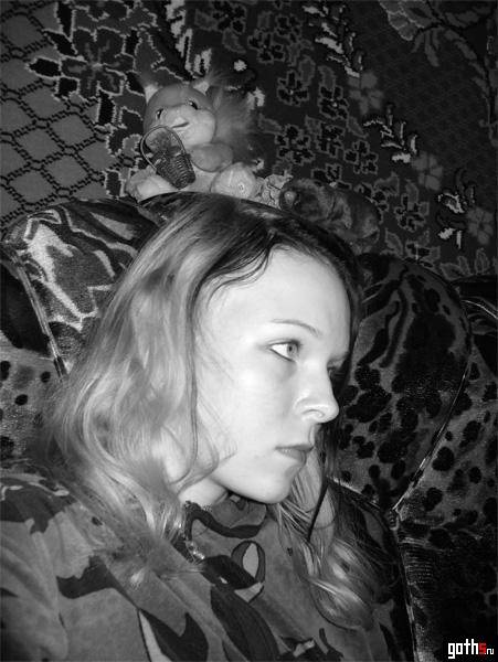 gallery_7230_7_18276.jpg