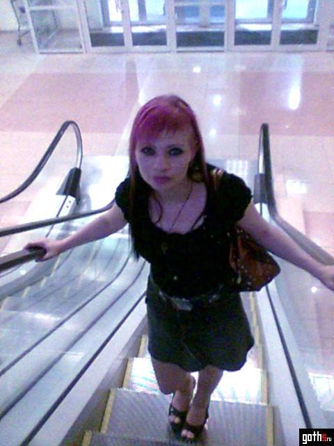 gallery_8319_768_148776.jpg