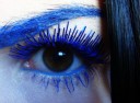 tn_gallery_4282_7_7706.jpg