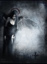 tn_gallery_5260_873_32420.jpg