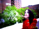 tn_gallery_8598_7_545429.jpg