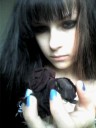 tn_gallery_9534_7_10489.jpg