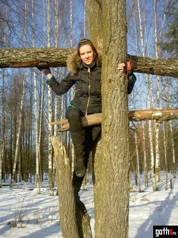 gallery_11363_7_40766.jpg