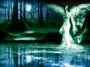 tn_gallery_9517_1168_37749.jpg