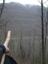 tn_gallery_5705_1408_18952.jpeg