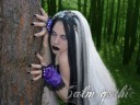 tn_gallery_8006_7_8103.jpg