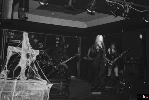 gallery_6578_7_9306.jpg