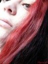 tn_gallery_16154_1851_7376.jpg