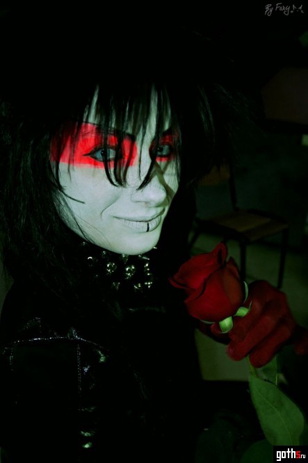 gallery_17597_1985_49843.jpg
